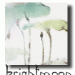 brightmoon